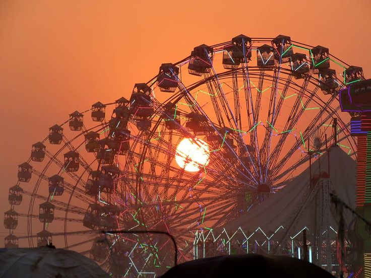 Vautha Fair: Gujarat’s Colourful Donkey Fair At Saptasangam